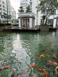 The Cascadia (D21), Condominium #466471691